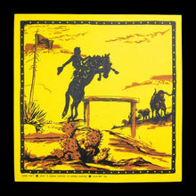 Load image into Gallery viewer, 2025 nike sb dunk low rodeo tourmaline