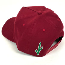 Load image into Gallery viewer, 2023 arizona coyotes ASUN hat by rhuigi