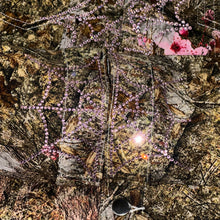 Load image into Gallery viewer, 2023 spider real tree rhinestone web work jacket