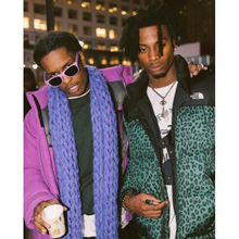 Load image into Gallery viewer, supreme // the north face leopard nuptse jacket