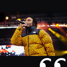 Load image into Gallery viewer, supreme // the north face leopard nuptse jacket