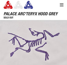 Load image into Gallery viewer, Palace Arc’Teryx Tri Ferg Puff Print Hoodie