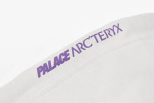 Load image into Gallery viewer, Palace Arc’Teryx Tri Ferg Puff Print Hoodie