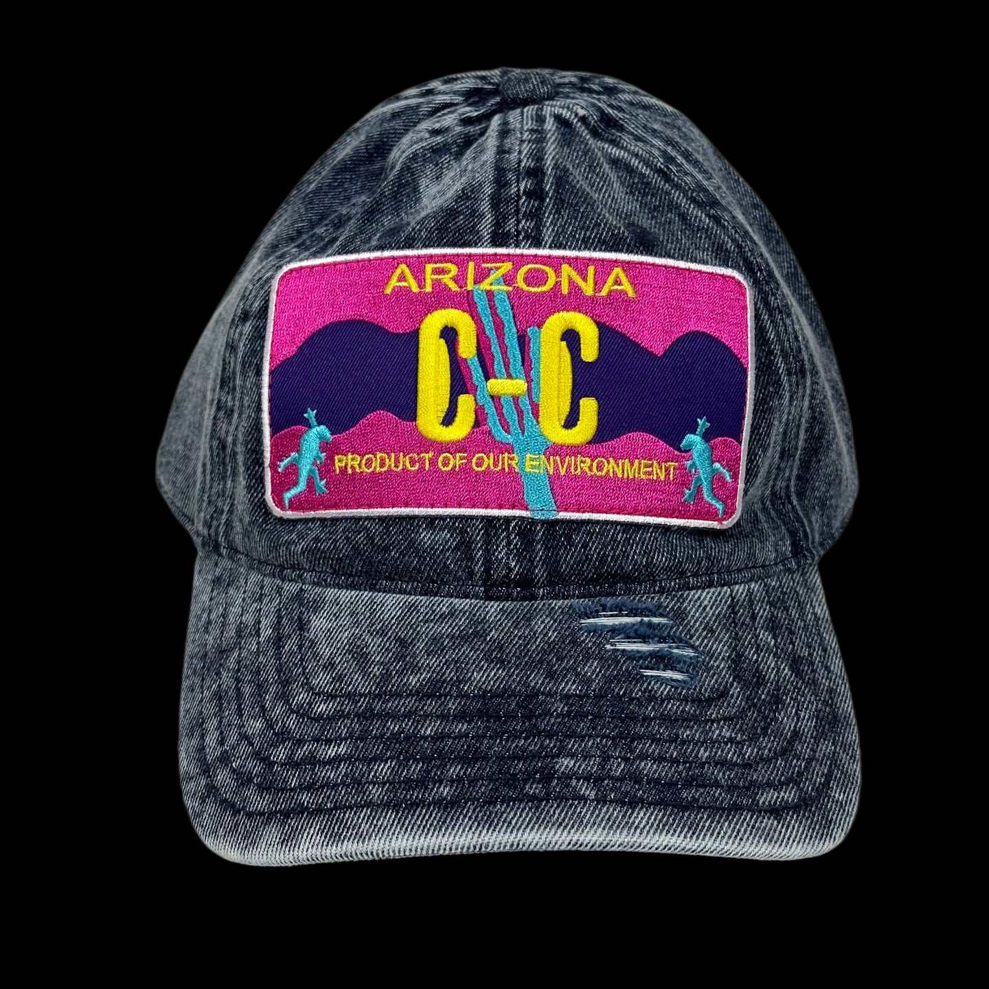 cc environmental 6-panel hat