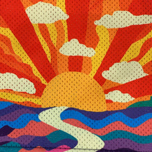 Load image into Gallery viewer, 2024 eric emanuel nyc sunset yellow ee short
