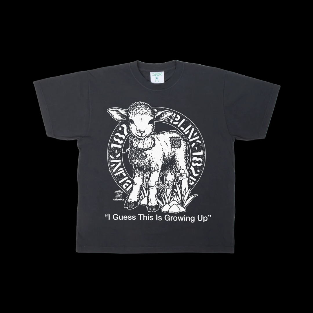 2025 online ceramics blink 182 this is growing up tee