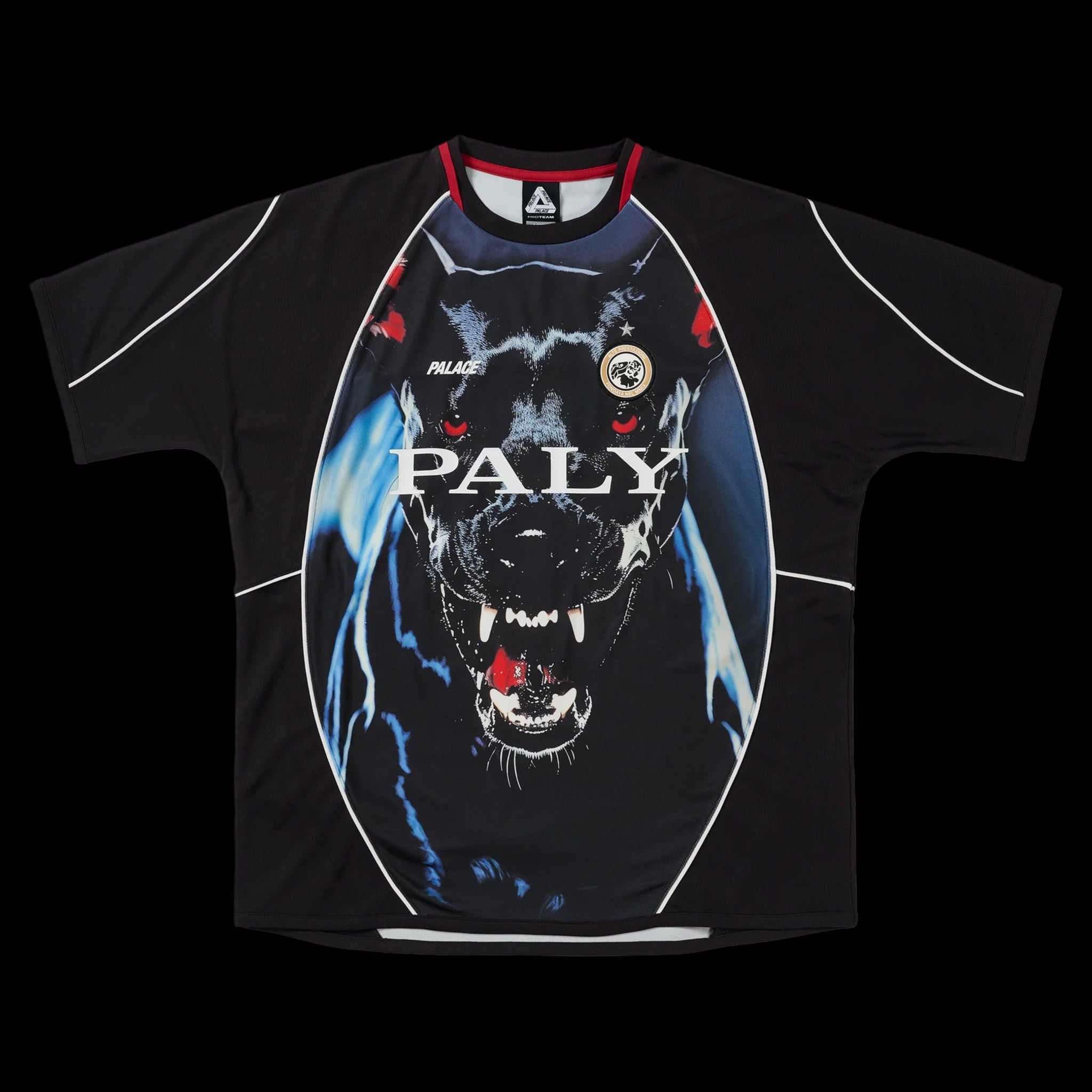 2026 palace k nein pro team piped jersey – change clothes