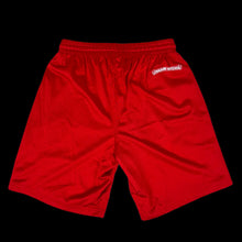 Load image into Gallery viewer, chrome hearts // mattyboy 99 team mesh shorts
