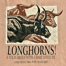 Load image into Gallery viewer, late 90s texas longhorns dirt dye tee
