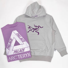 Load image into Gallery viewer, Palace Arc’Teryx Tri Ferg Puff Print Hoodie
