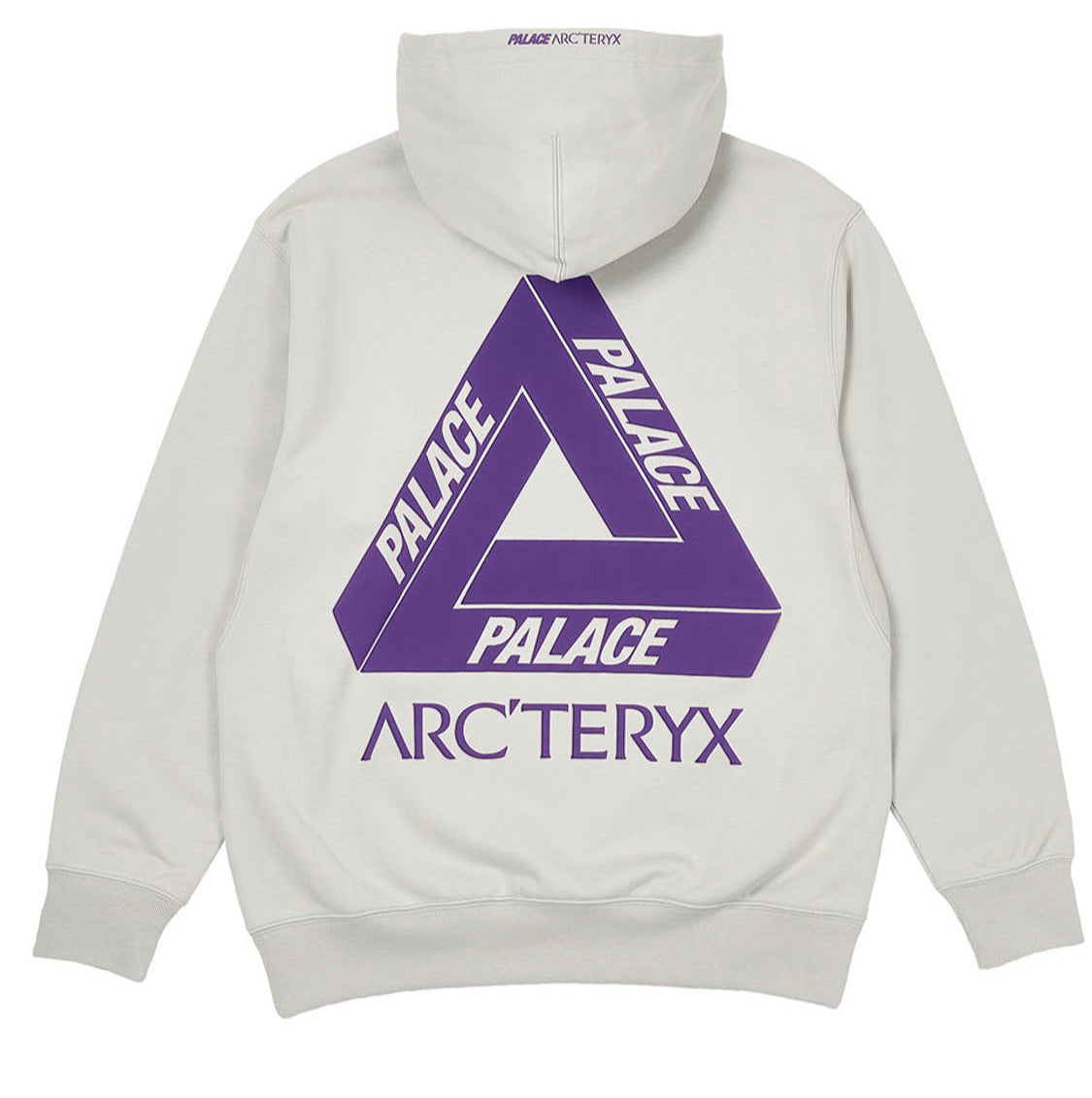 Palace Arc’Teryx Tri Ferg Puff Print Hoodie