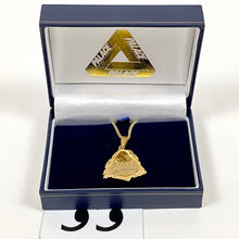 Load image into Gallery viewer, Palace Tri Ripper Gold Chain 22K Pendant
